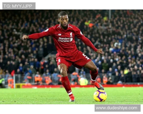 维纳尔杜姆的职业生涯回顾与未来发展展望分析