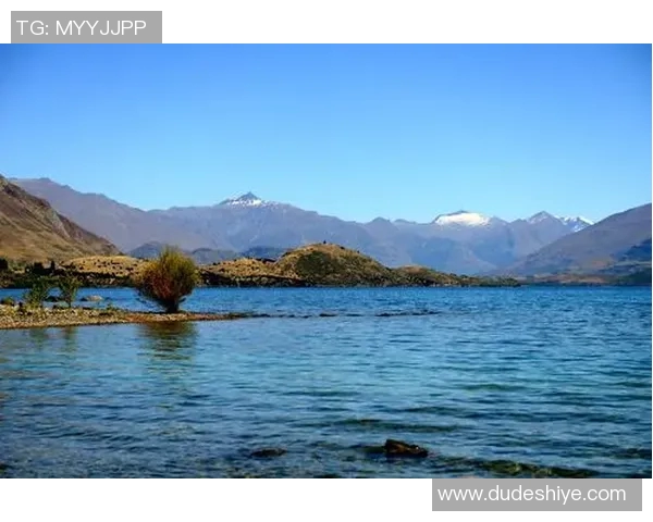 亚当斯的传奇人生与不朽成就探索之旅